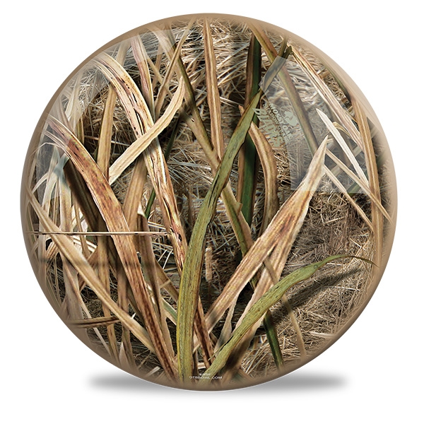 Mossy Oak Shadow Grass