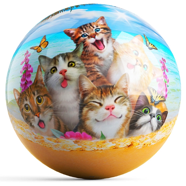 Cat puzzle ball outlet