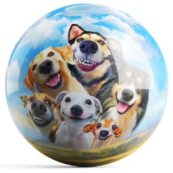 Selfie dog ball discount