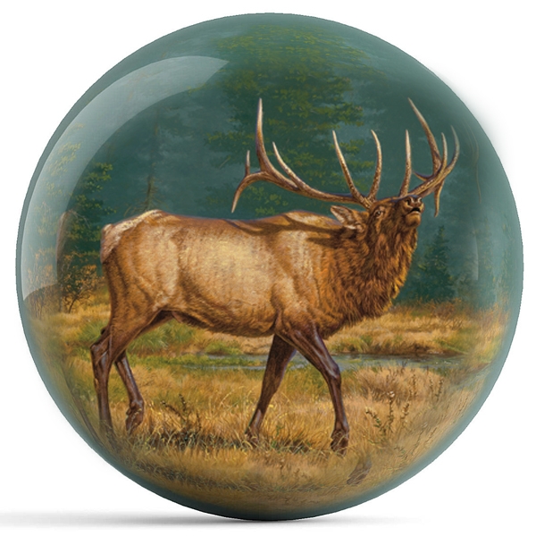 Elk